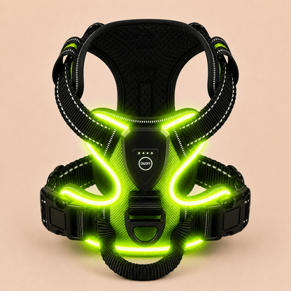 LED Light-Up Dog Harness — Rechargeable